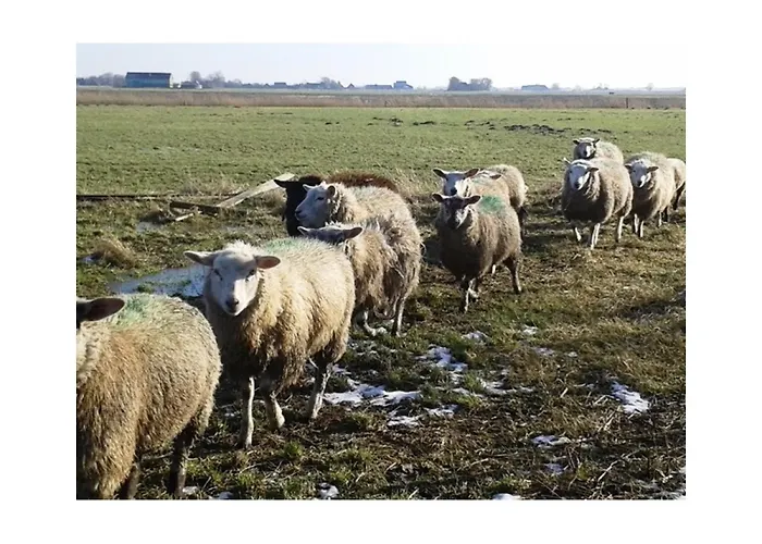 Lägenhet Am Westerdeich